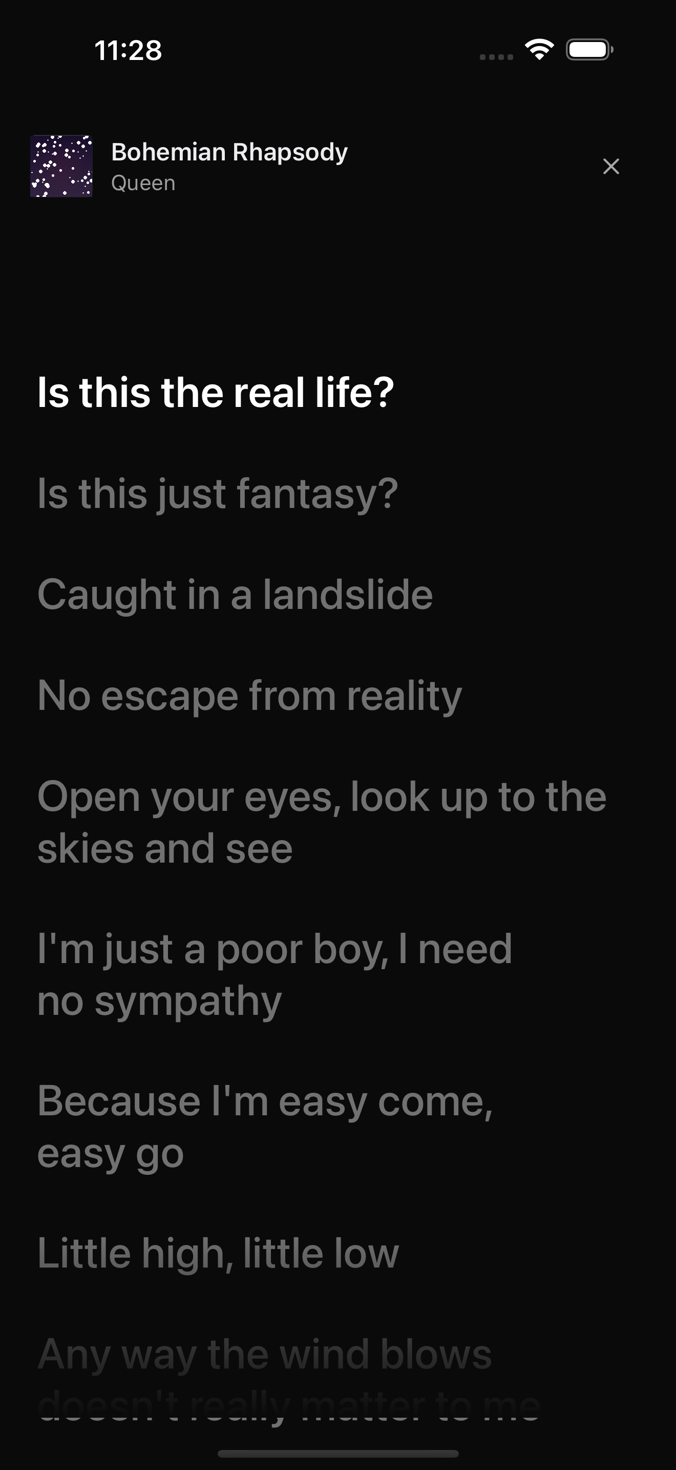 Portrait lyrics view