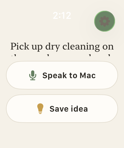 Murmur Apple Watch recording a dictation